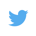 Twitter Icon