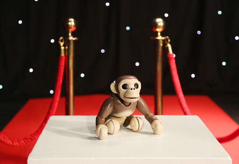 Zoomer Chimp on the Red Carpet