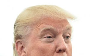 Donald Trump Wig